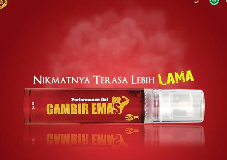 GAMBIR EMAS KULIM 1 gambir emas kulim